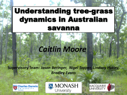 Quantifying the Tree-Grass dynamics of a tropical eucalypt savanna