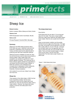 Sheep lice - NSW Department of Primary Industries