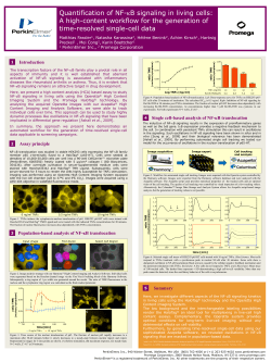 Quantification of NF-&kappa;B signaling in living cells: A high