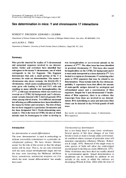 Sex determination in mice: Y and chromosome 17