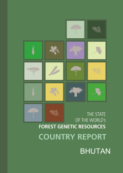 Bhutan: The state of the world`s forest genetic resources