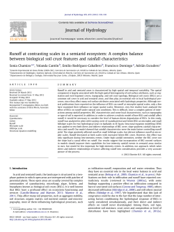Runoff at contrasting scales in a semiarid ecosystem: A complex
