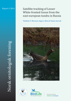 N orsk ornitologisk forening