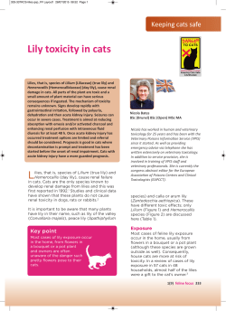 FF Layout1 - International Cat Care