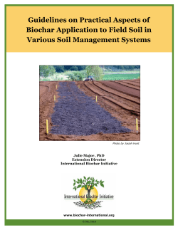 Guidelines on Practical Aspects of Biochar Application to Field Soil