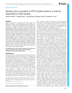 Nuclear size is sensitive to NTF2 protein levels in a manner
