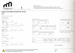 Poplite 3 - Maerich Singapore