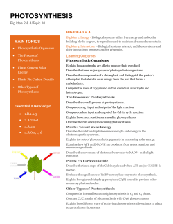 10 Photosynthesis