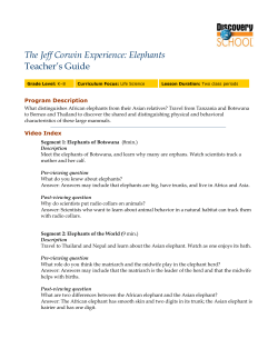 The Jeff Corwin Experience: Elephants