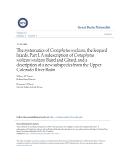 The systematics of Crotaphytus wislizeni, the leopard lizards, Part I