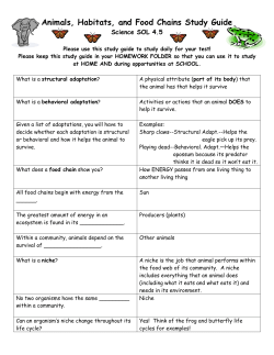 Animals, Habitats, and Food Chains Study Guide