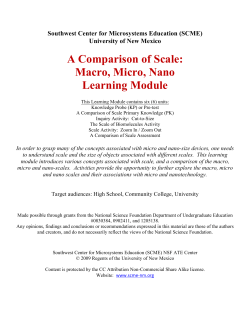 A Comparison of Scale: Macro, Micro, Nano