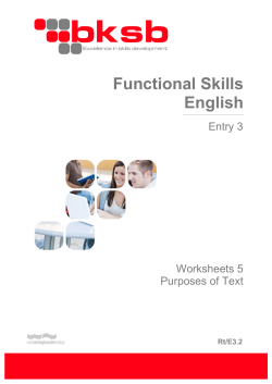 Reading Comprehension Entry Level 3 worksheets File