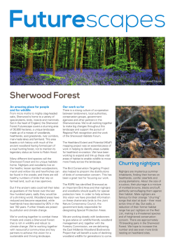 Sherwood Forest