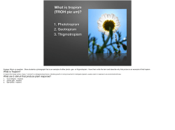 Unti 5 Homeostasis - Tropisms Review