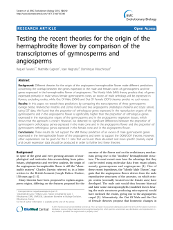 Testing the recent theories for the origin of the hermaphrodite flower