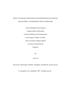 effects of binary mixtures of xenoestrogens on gonadal development