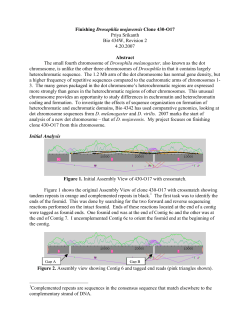 Priya Srikanth - GEP Community Server