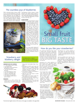 The countless joys of blueberries Strawberry and blueberry delight