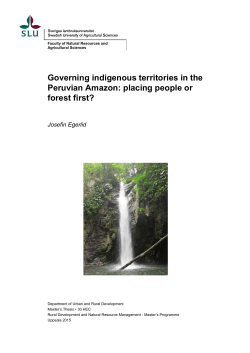 Governing indigenous territories in the Peruvian Amazon: placing