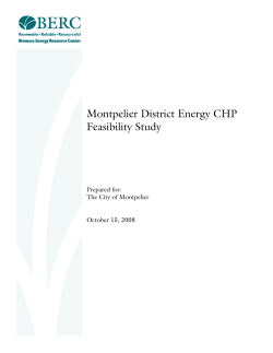 Montpelier District Energy CHP Feasibility Study