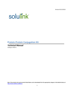 Protein-Protein Conjugation Kit