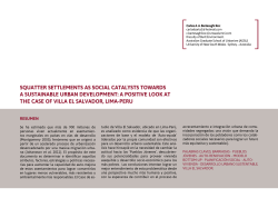 squatter settlements as social catalysts towards a - SeDiCI