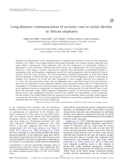 Long-distance communication of acoustic cues to social identity in