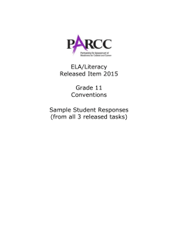 Grade 11 ELA - Conventions
