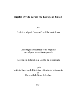 Digital Divide across the European Union