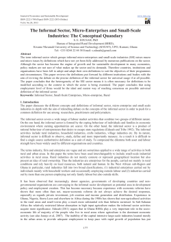 The Informal Sector, Micro-Enterprises and Small