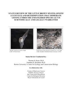 status review of the little brown myotis (myotis