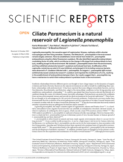 Ciliate Paramecium is a natural reservoir of Legionella