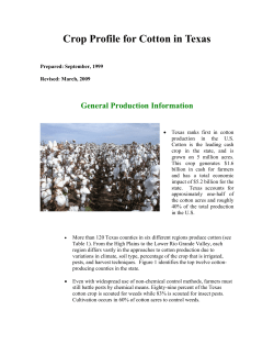Crop Profile for Cotton in Texas
