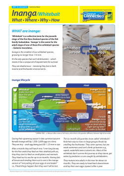 Introduction Summary Booklet