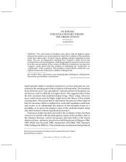 an enigma for evolutionary theory. the origin of bats