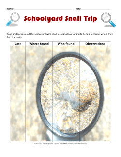 Schoolyard S olyard Snail Trip nail Trip