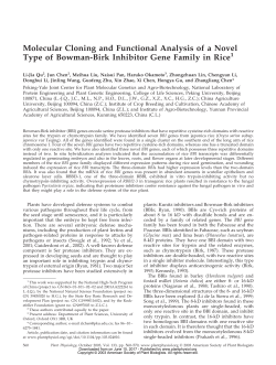 Molecular Cloning and Functional Analysis of a