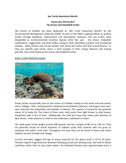 Know your ESS turtles!