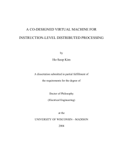 a co-designed virtual machine for instruction-level