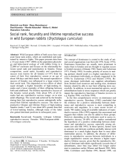 Social rank, fecundity and lifetime reproductive success in wild
