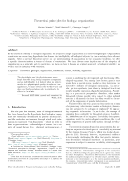Theoretical principles for biology: organization