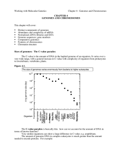 Chapter 4: Genomes and Chromosomes