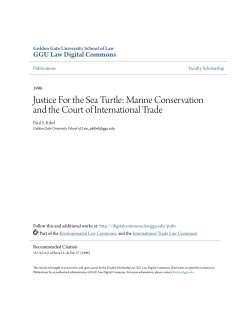Justice For the Sea Turtle: Marine Conservation and the Court of