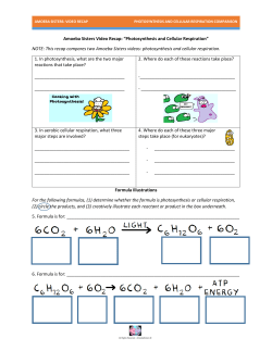 Amoeba Sisters Video Recap: Cellular Respiration