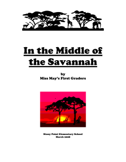 In the Middle of the Savannah