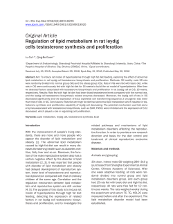 Regulation of lipid metabolism in rat leydig cells testosterone