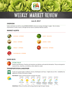 the Weekly Market Report