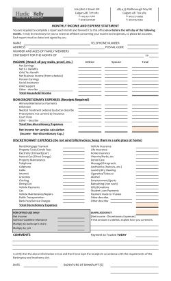 Business Statement of Income and Expenses