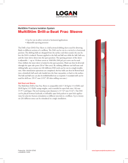 Frac Sleeve  - Logan International Inc